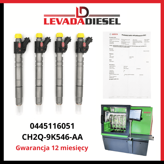 Regenerowany wtryskiwacz 0445116051, CH2Q-9K546-AA CITROEN