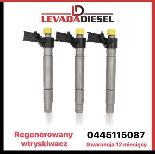 Regenerowany wtryskiwacz 0445115087, 9687454380 CITROEN