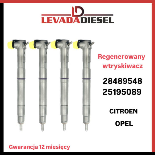 Regenerowany wtryskiwacz 28489548, 25195089, 25183186 CITROEN OPEL